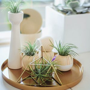 Sample Digital Product